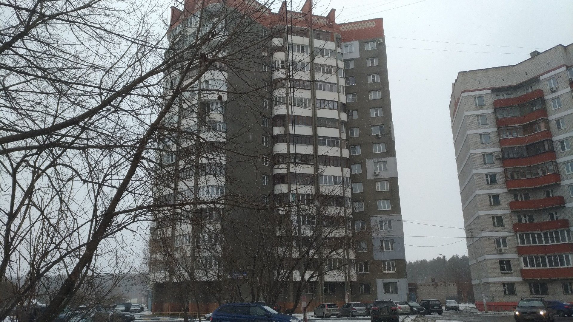 Фото На Документы Лесной Городок Фото На Документы Лесной Городок