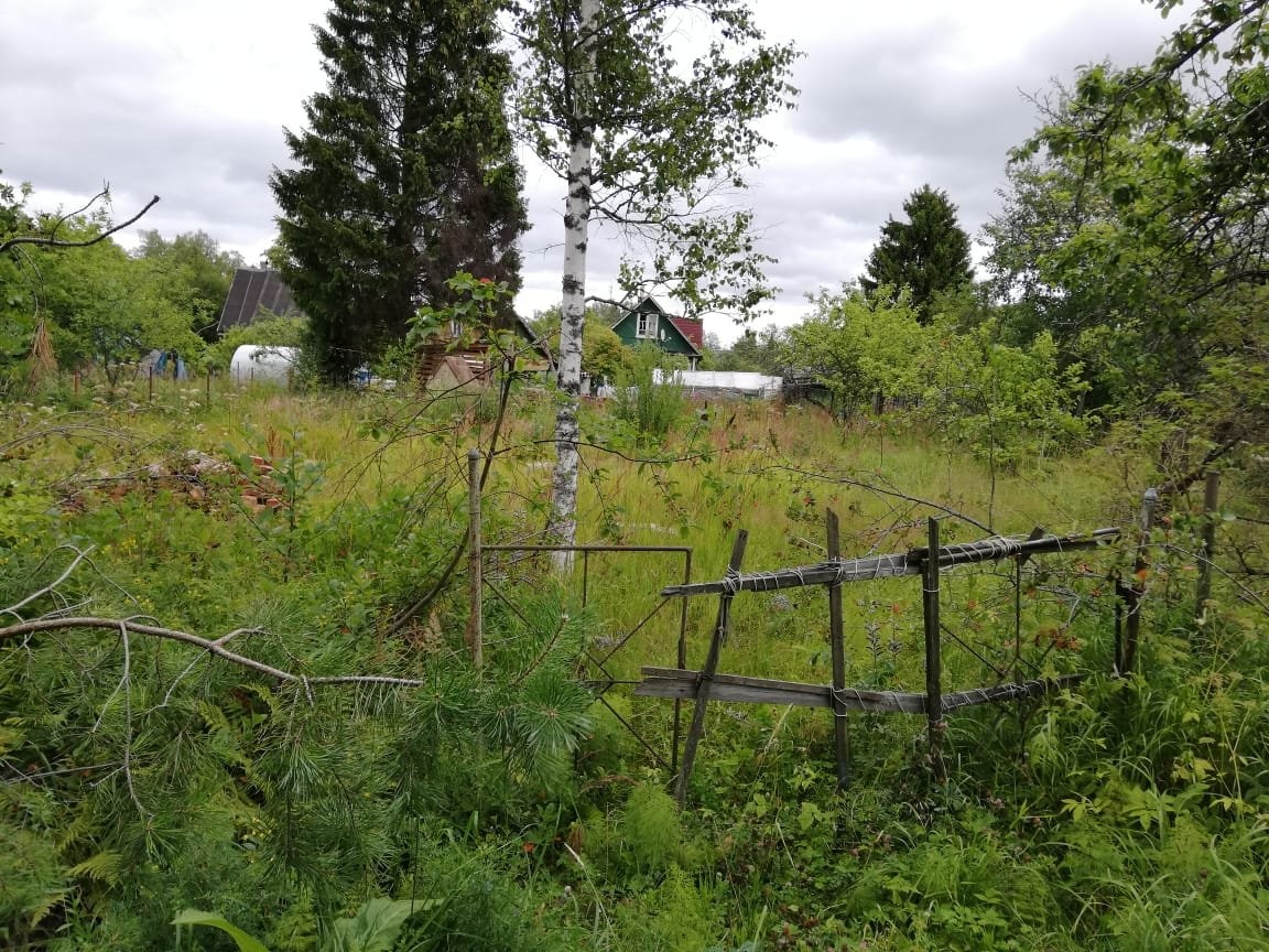 снт василеостровец орехово. новая жизнь снт василеостровец. снт василеостровец кировский район. новая жизнь снт василеостровец. снт василеостровец келколово 3.