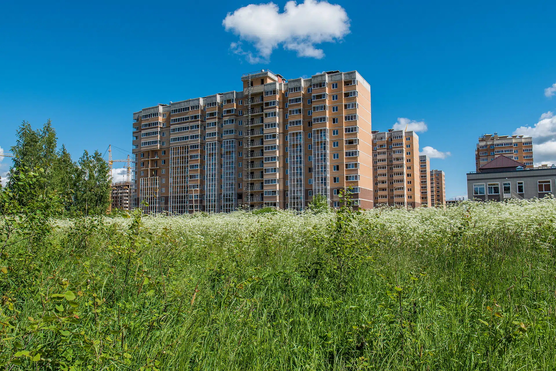 Городской поселок янино. Янино жилой комплекс. Янино-1 ЦДС. Янино-1 Ленинградская область. Янино-1 жилой комплекс.