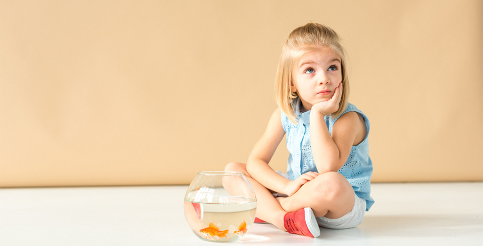 Для чего нужно страхование ипотеки. Смотреть фото Для чего нужно страхование ипотеки. Смотреть картинку Для чего нужно страхование ипотеки. Картинка про Для чего нужно страхование ипотеки. Фото Для чего нужно страхование ипотеки Для чего нужно страхование ипотеки. Смотреть фото Для чего нужно страхование ипотеки. Смотреть картинку Для чего нужно страхование ипотеки. Картинка про Для чего нужно страхование ипотеки. Фото Для чего нужно страхование ипотеки