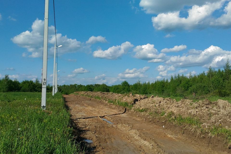 Поселок есипово. Поселок есипово форест. деревня есипово московская область.