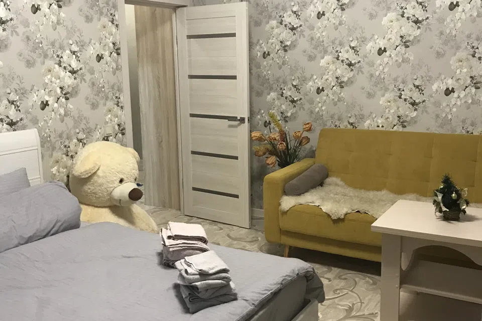 Однокомнатная квартира, вид на парк, р-н Цирка, пл. Дружбы 