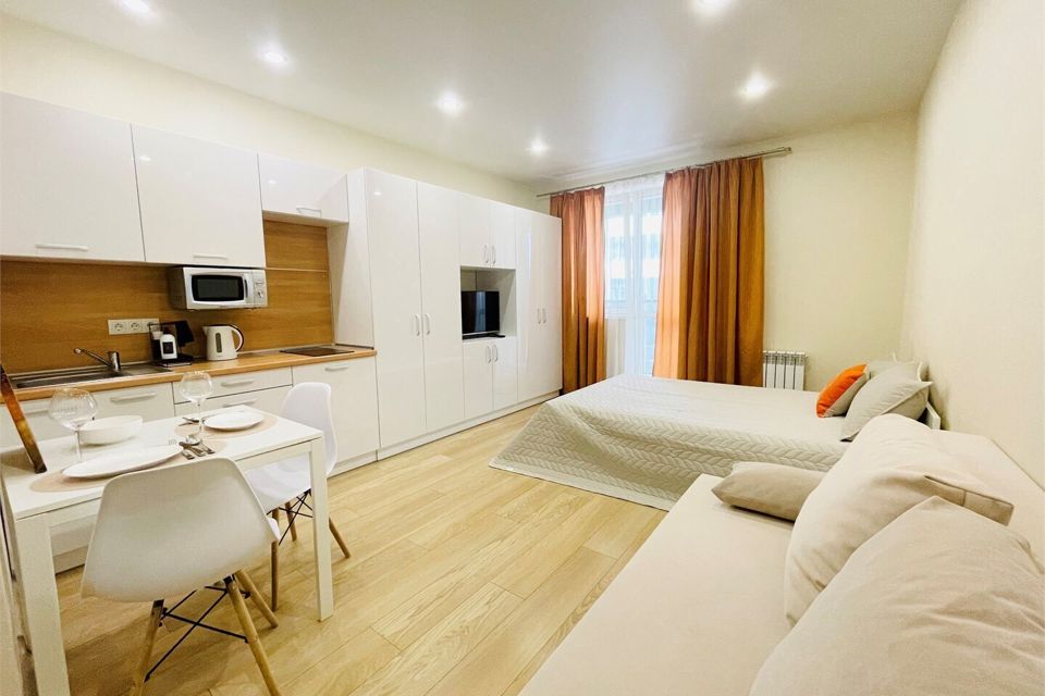 Милая студия ЖК Бизнeс-классa Дoждь