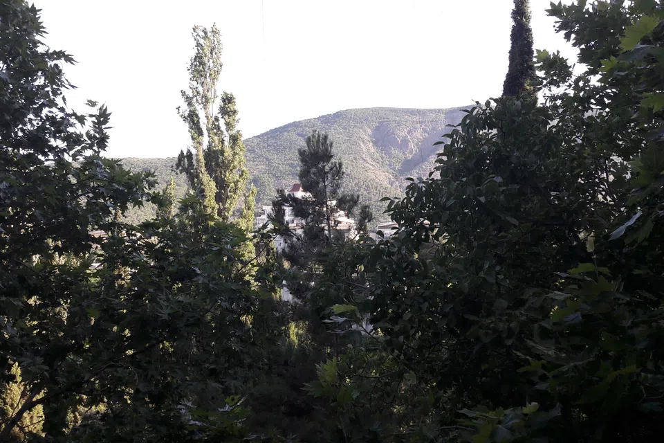Уютная квартира с видом на парк рядом речка