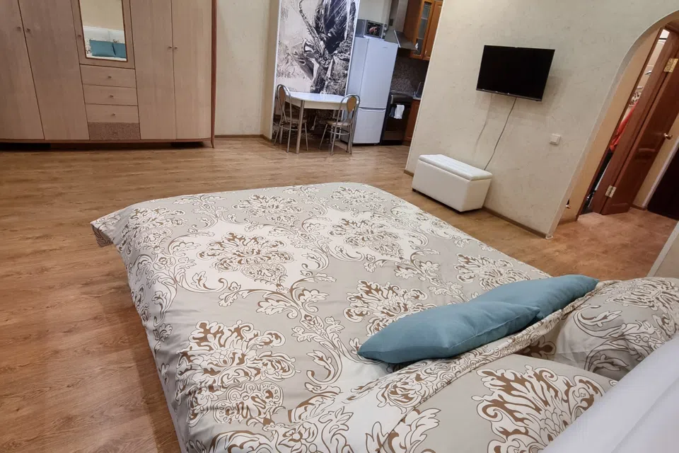 Уютная студия посуточно 