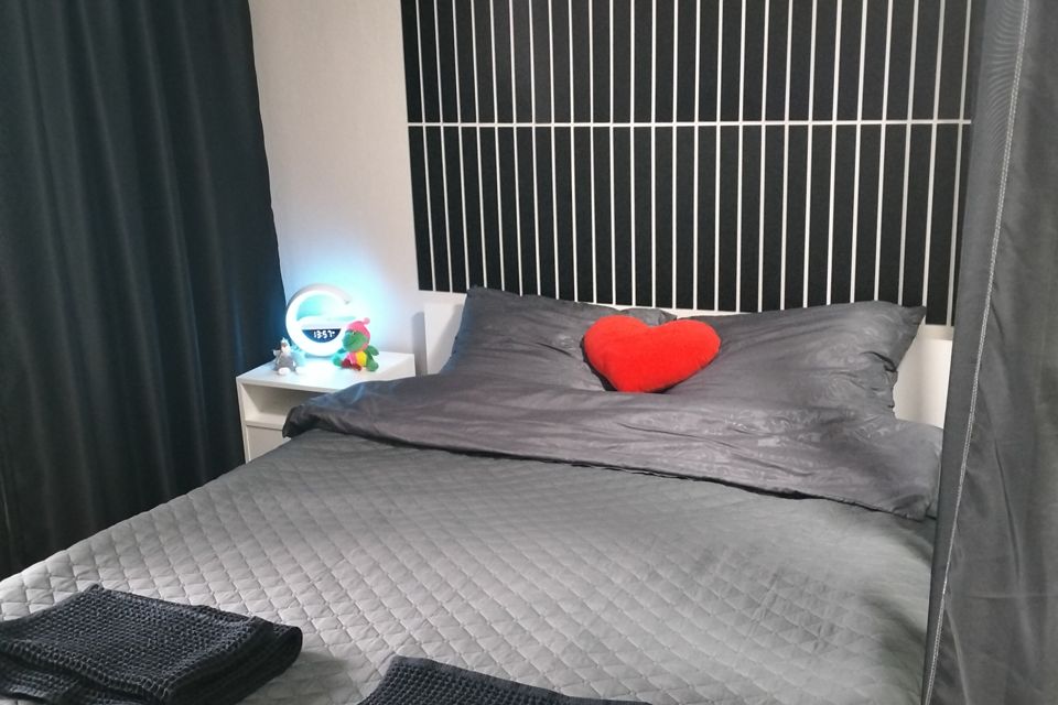 Уютная тихая однокомнатная квартира на площади Советской 