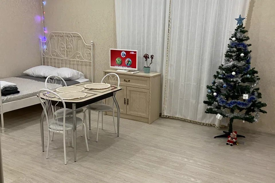 Уютная студия на Таврической