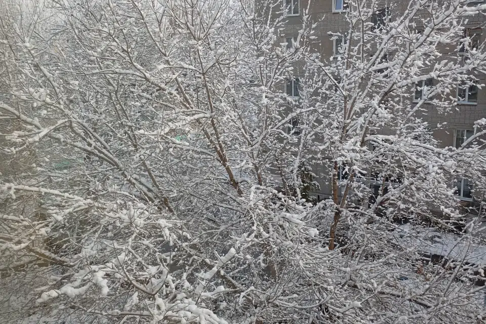 Уютная чистая квартира в центре города