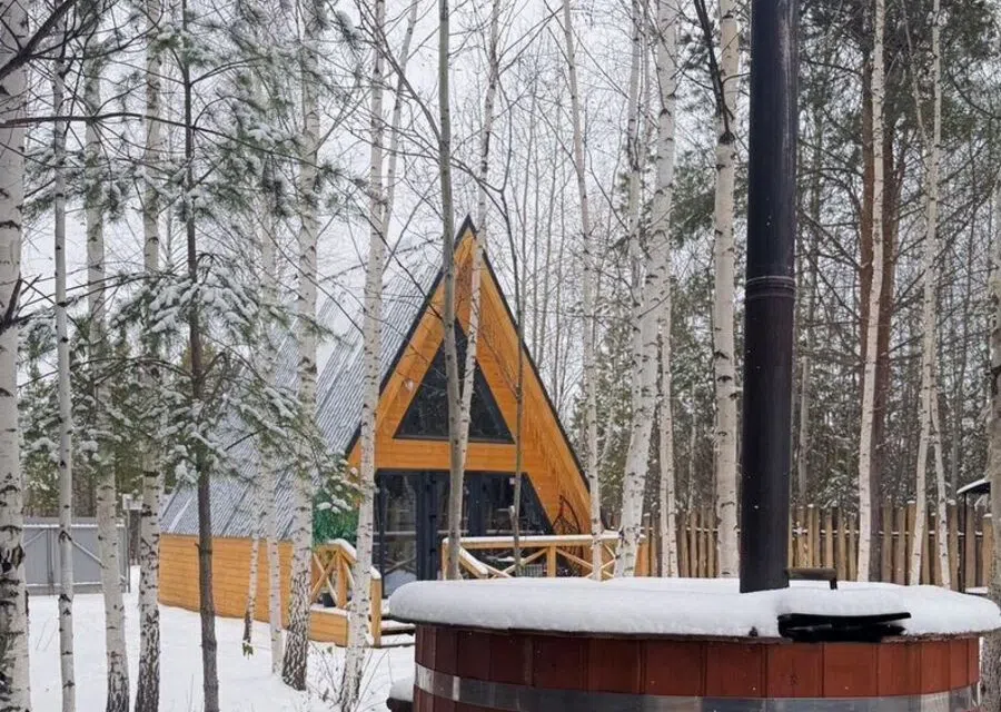 Березовый дом в сосновом лесу