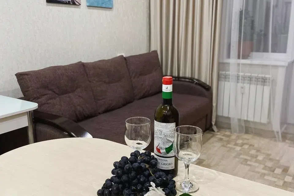 Уютная студия с видом на центр города и зеленую рощу
