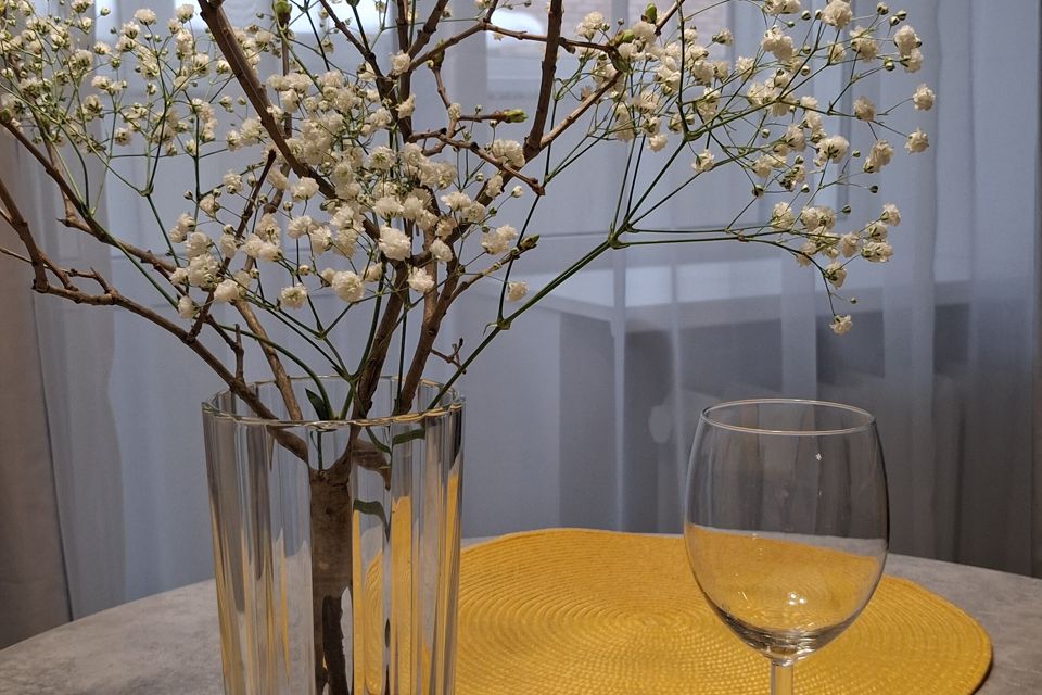 Уютная квартира с новым ремонтом в самом центре города .