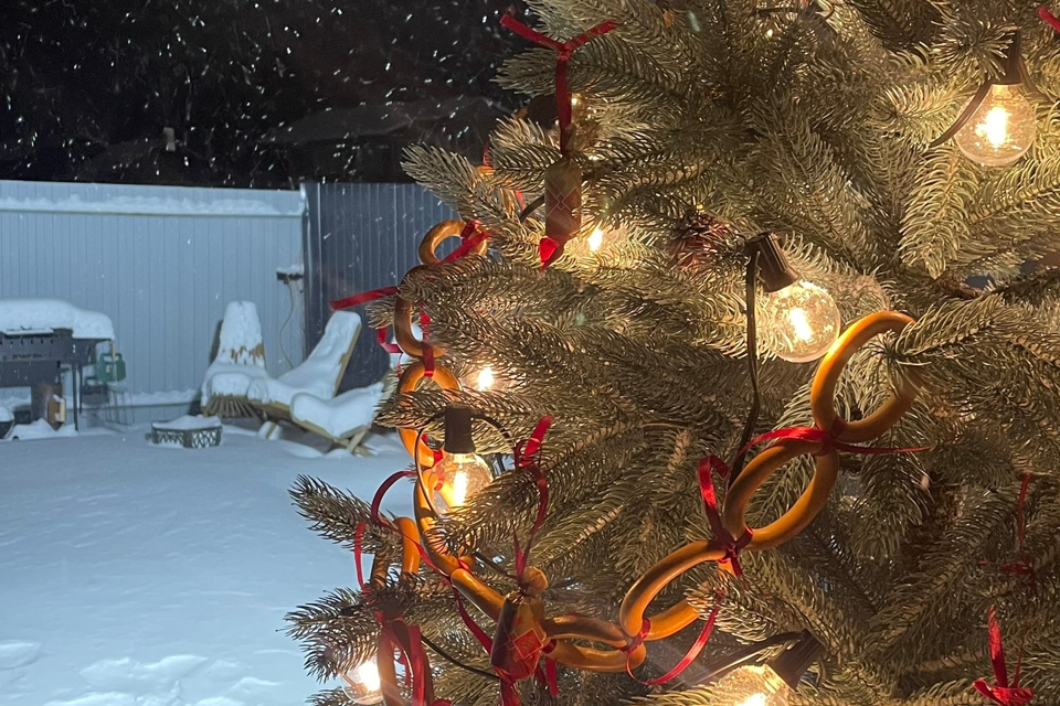 Уютный дом с баней на Новогодние праздники 