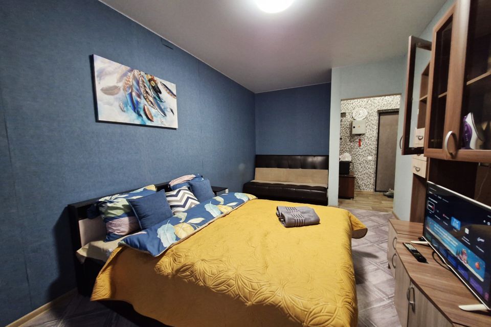 Квартира с большой ванной в Новом Пушкино