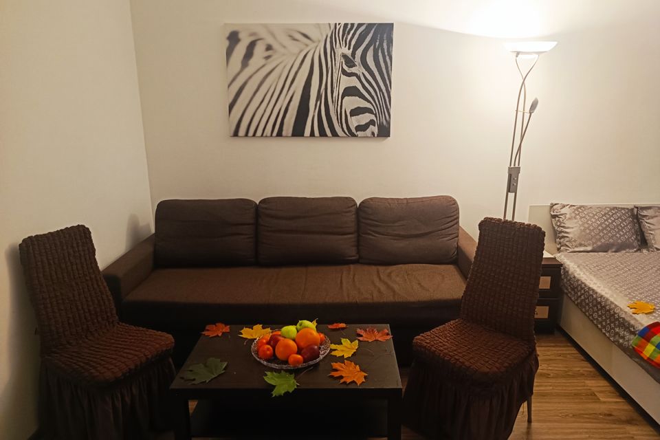 Просторная квартира у Крокус Экспо, метро Мякинино, Пенягино