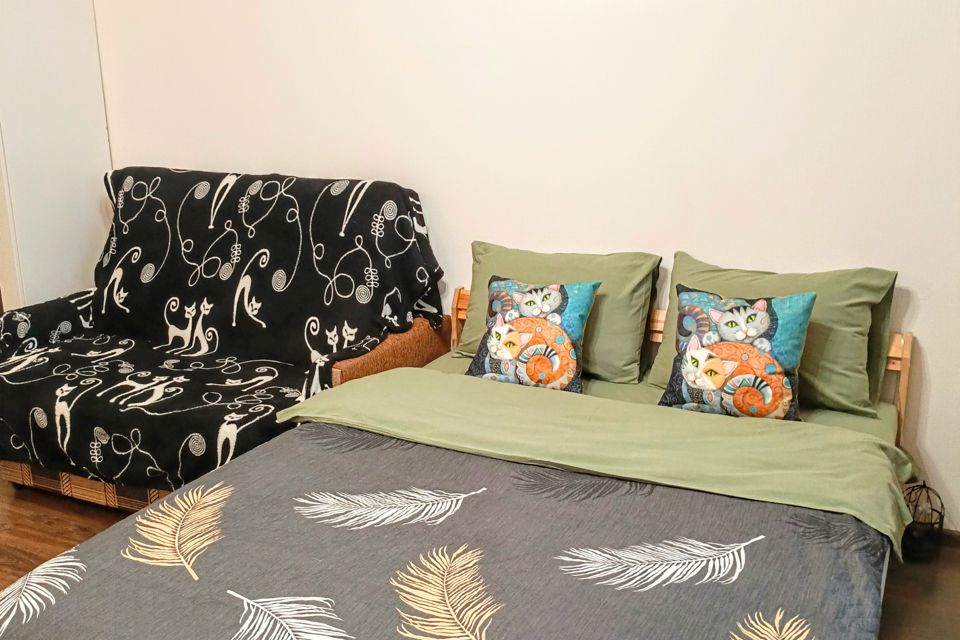  Студия у метро Старая Деревня рядом с НИИ ухо горло носа