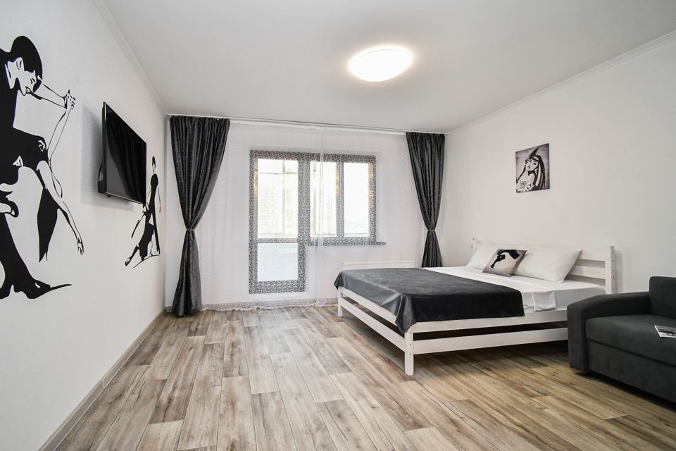 Просторная однокомнатная квартира