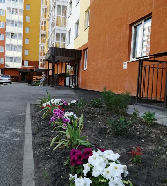 Уютная Студия в скандинавском стиле N2