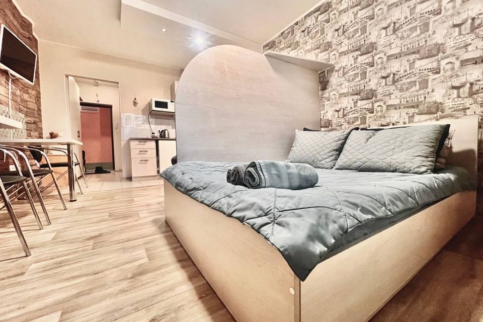 АПАРТАМЕНТЫ ЦЕНТР СТУДИЯ VOYAGE КОМФОРТ