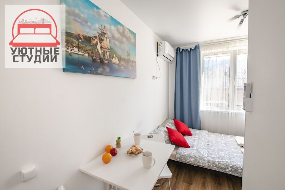 Уютная студия 1 на Некрасовской