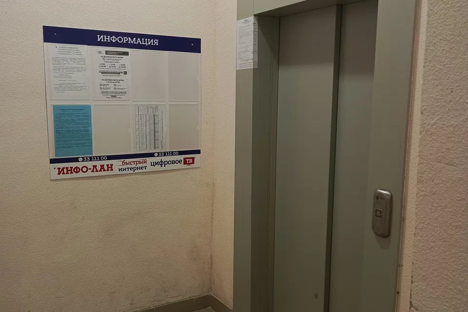 Уютная студия с видом на лес 