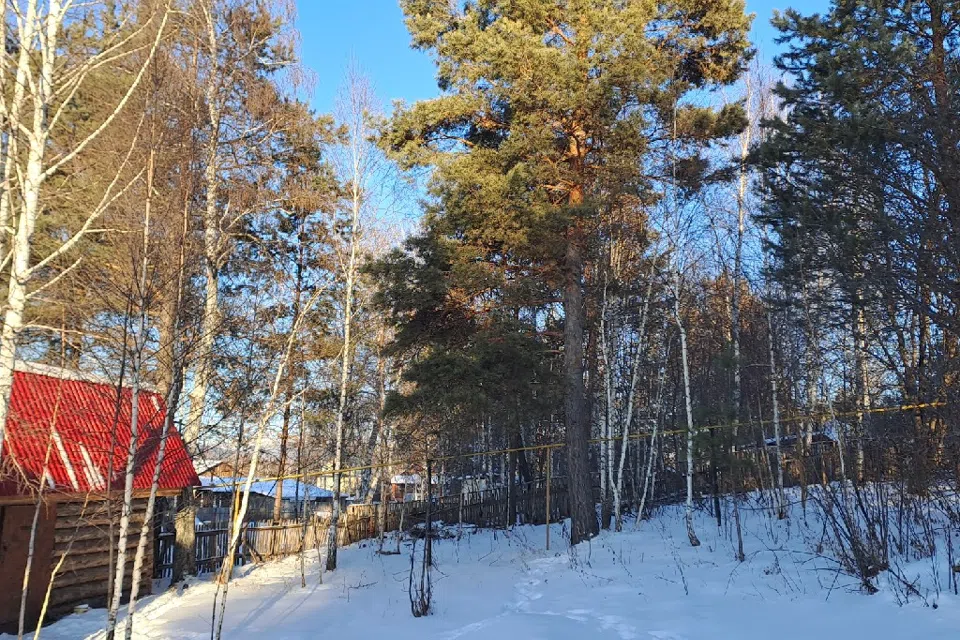 Сдается дом возле леса