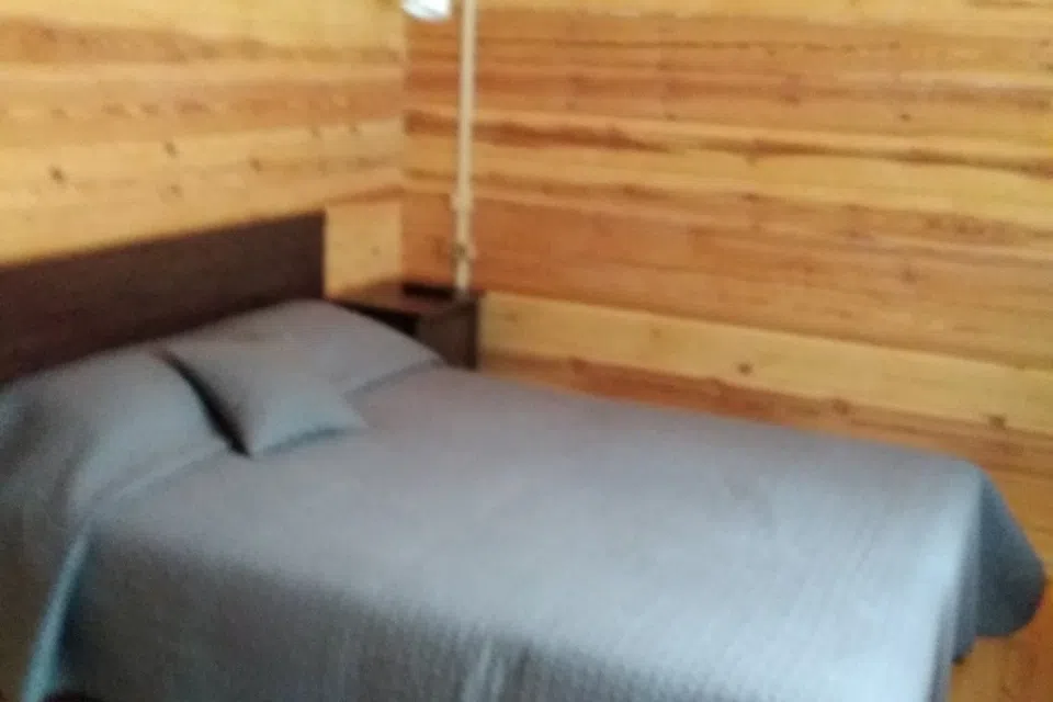 Байкальская тайга