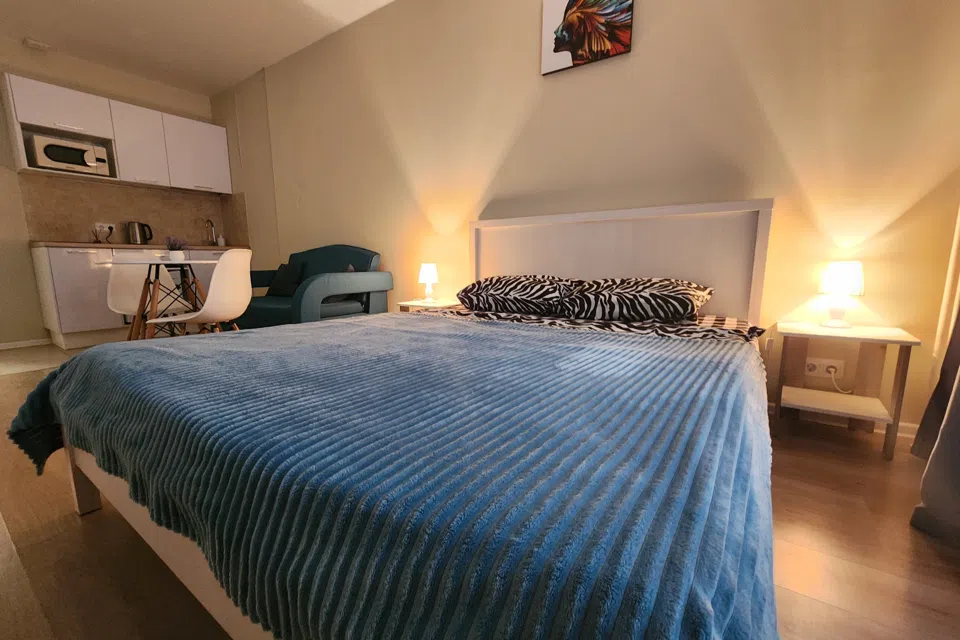 Loft Studio на Летчика Ларюшина 4к1
