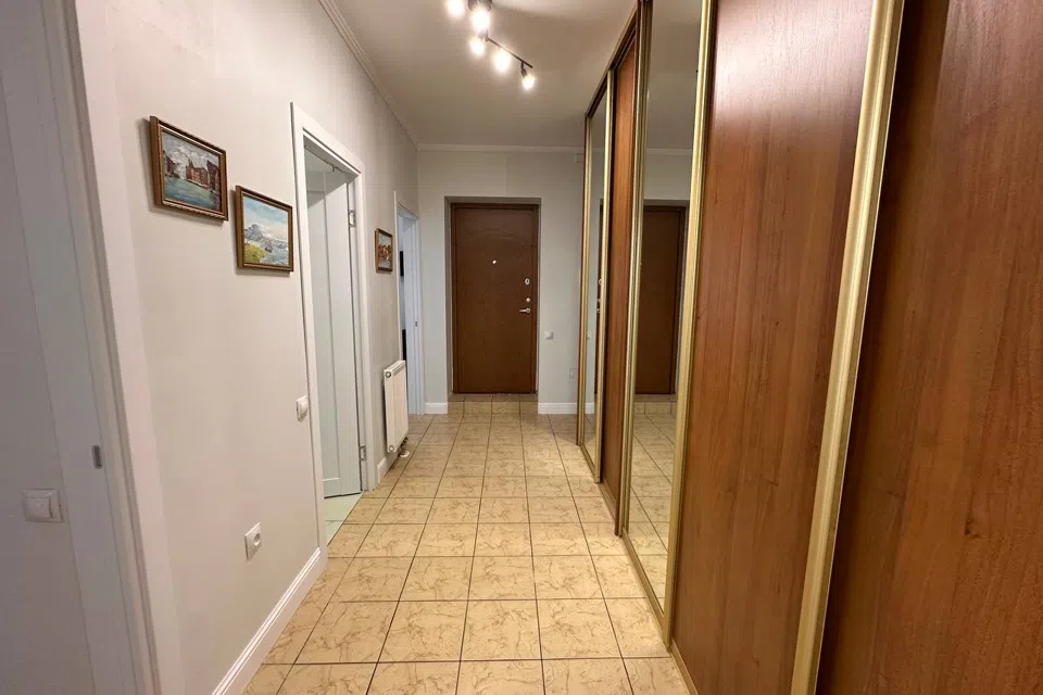 Море, Отдых, Котики
