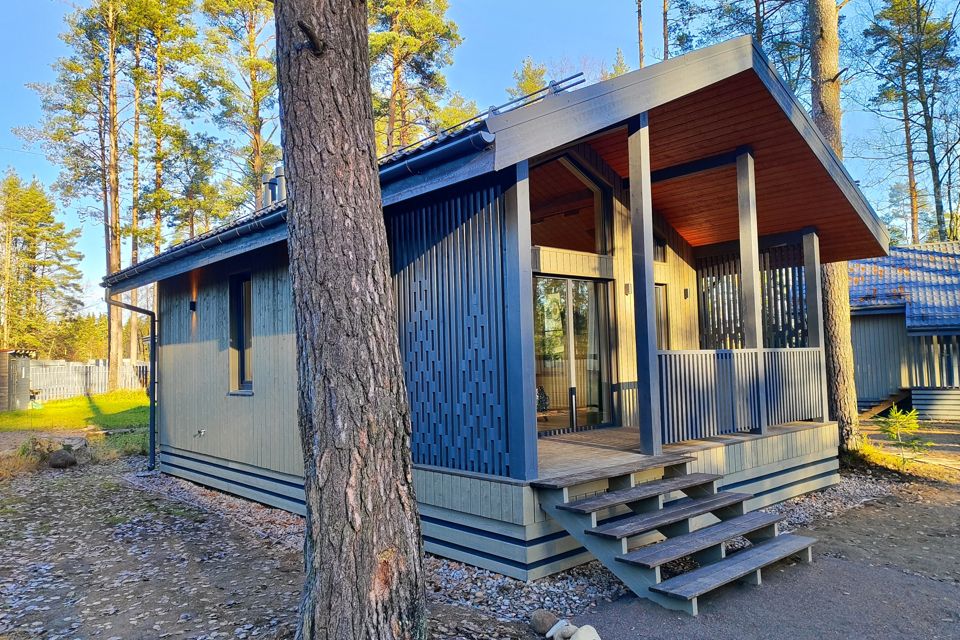 Зимний дом в сосновом бору