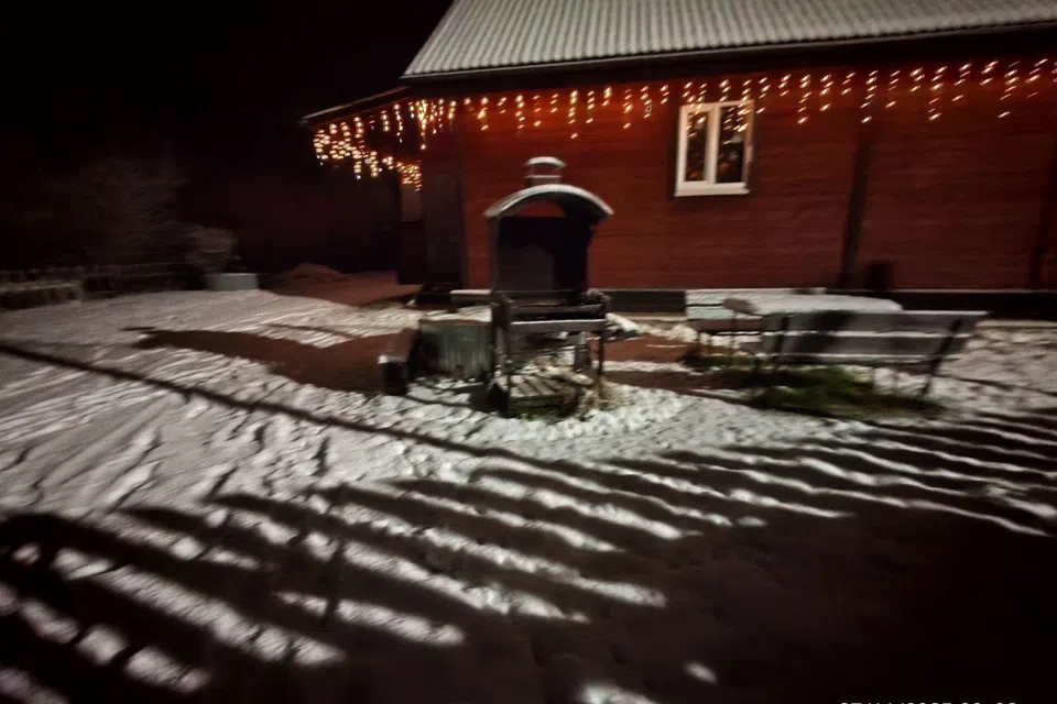 Дом Сосна у Вьюна