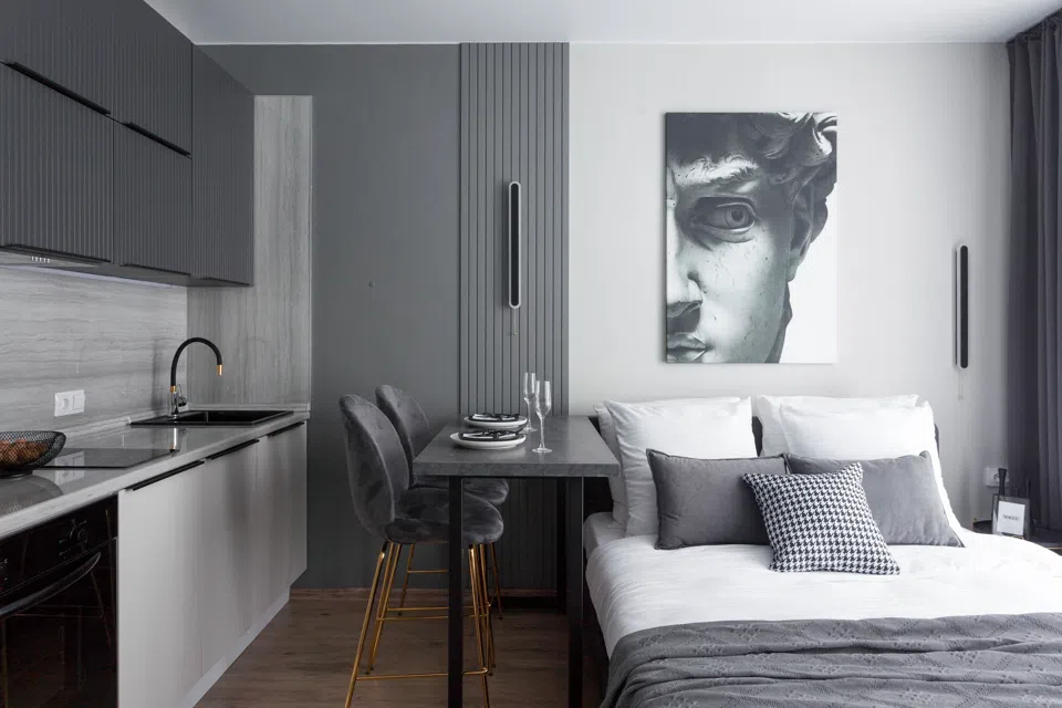 RoоmyRoom Aраrtаmеnts Мr. Grеy