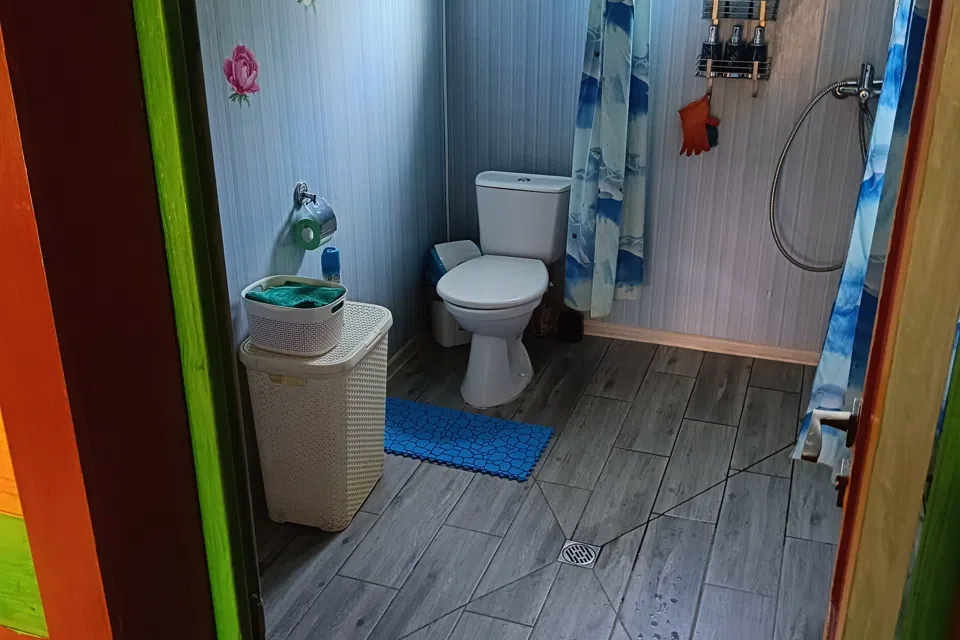 Загородный дом с ручным Енотом. 