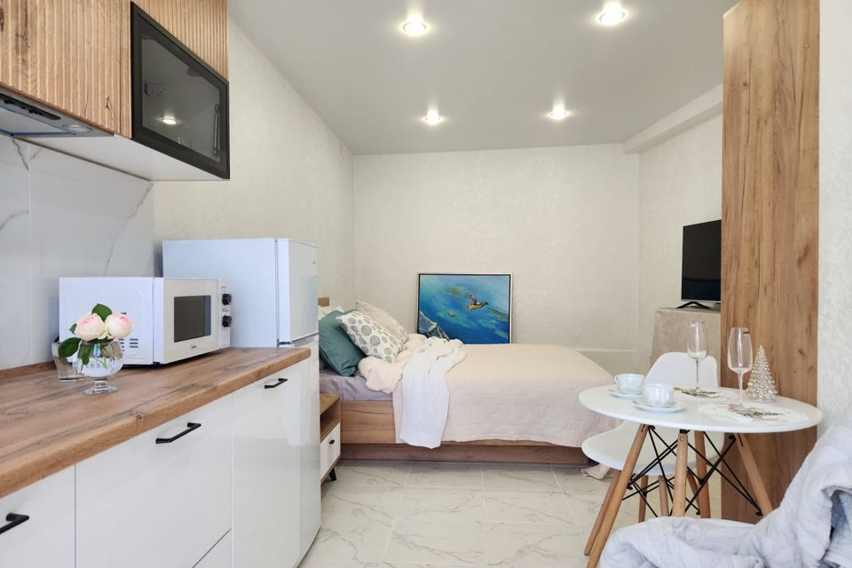 Студия с территорией и  видом на Олимпийский парк и море.