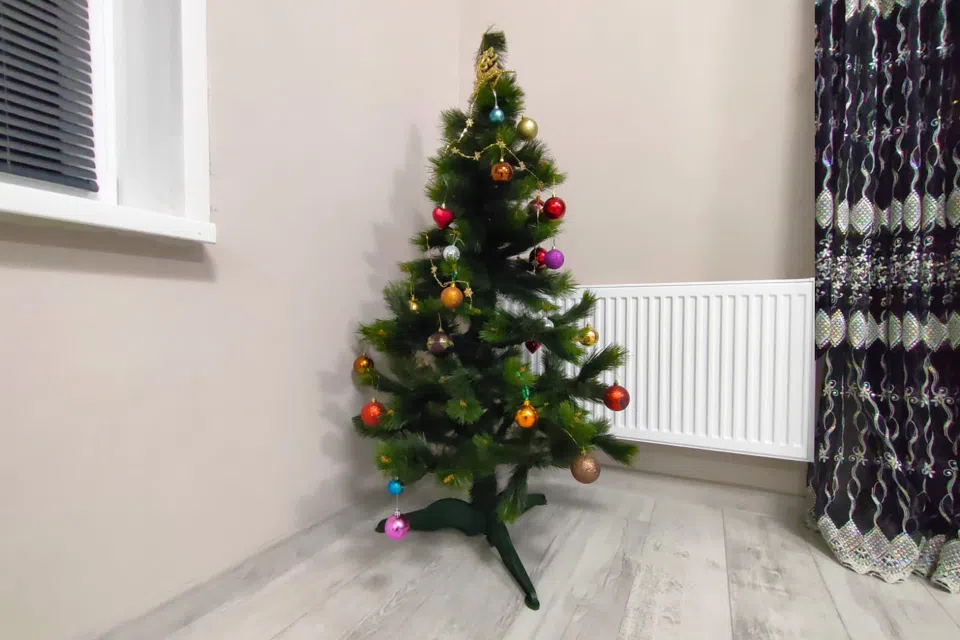ДОМИК с БАНЕЙ с видом на лесной массив.
