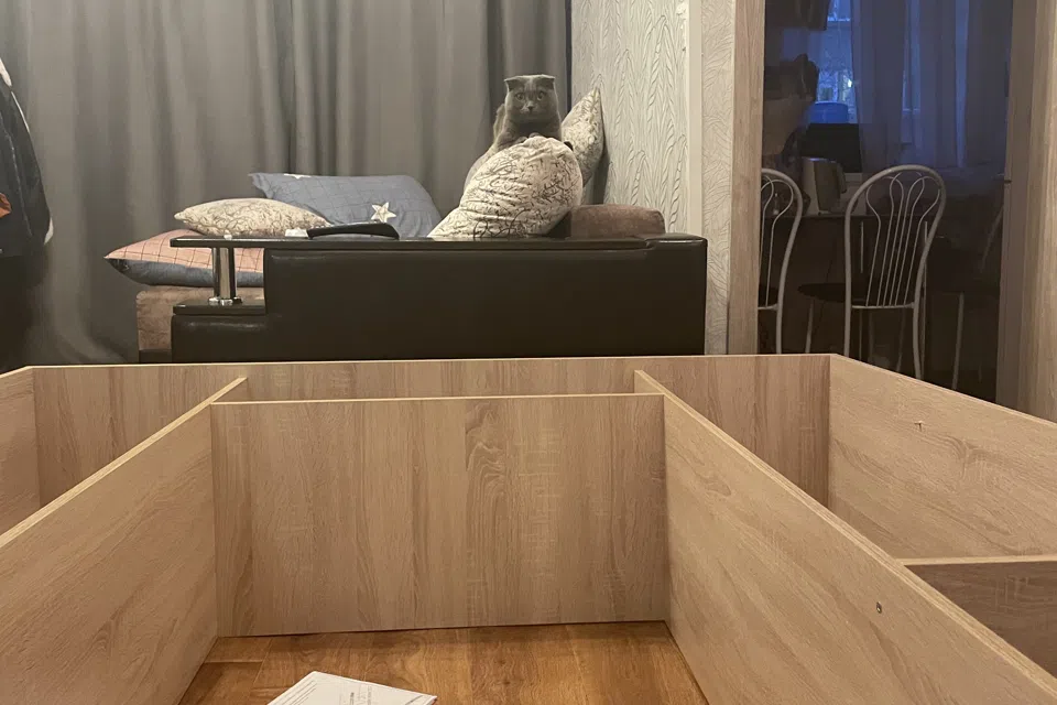 Уютная квартира с котиком 