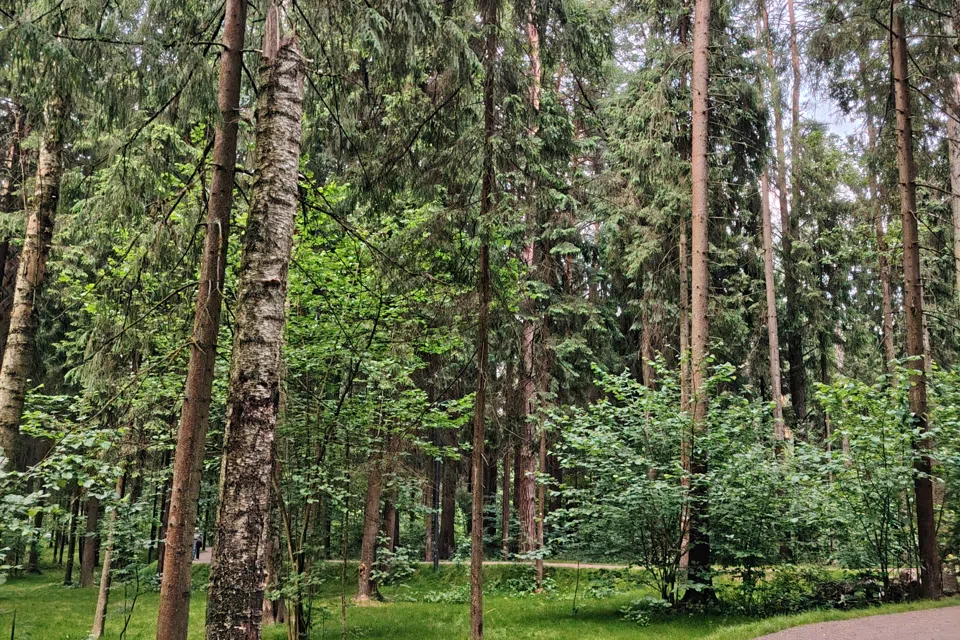 Белоснежная квартира в Изумрудных холмах 