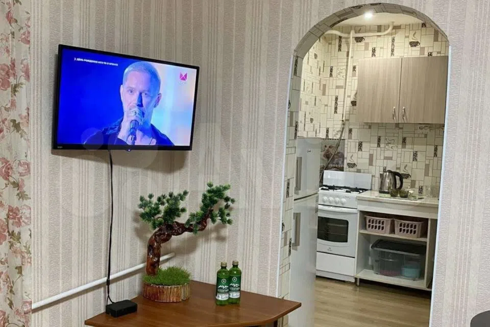 Уютная квартира рядом с сан.Русь, Виктория и парком Победы