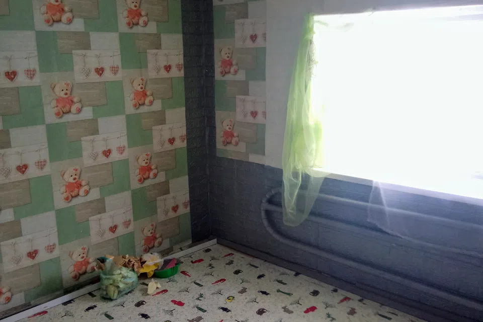 Дом в аренду, с большим земельным участком. 