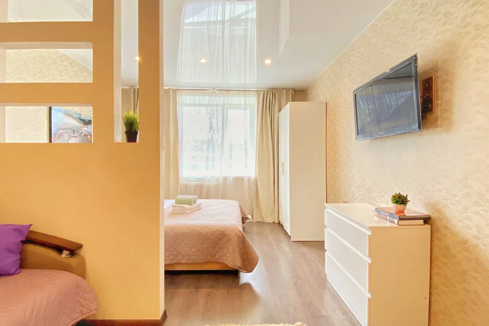 1к квартира Apart-Comfort на Толбухина 45