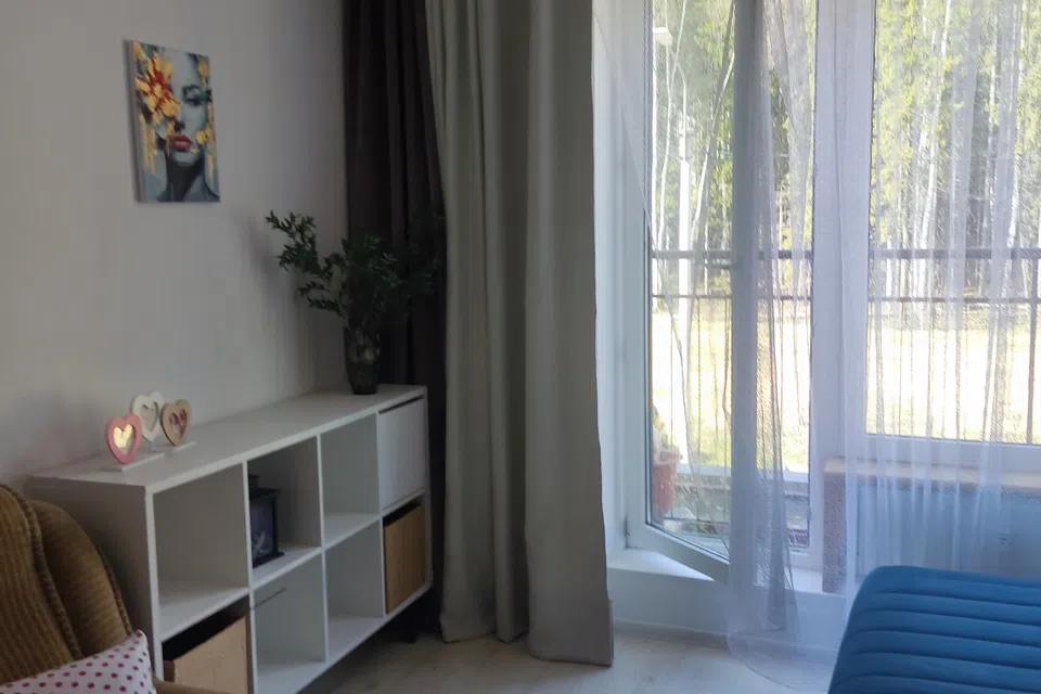 Уютная студия с видом на лес