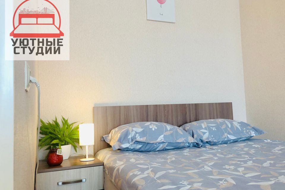 Уютная тёплая однокомнатная квартира с видом на парк