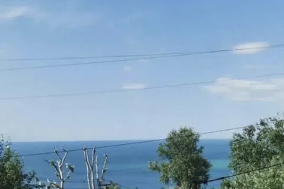 Уютная квартира с пением птиц и красивым видом на море
