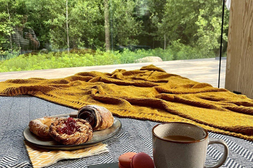 CampEgora КэмпЕгора — дом, панорамное окно, лес и терраса