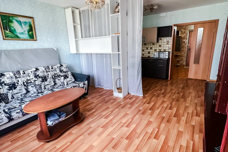 Уютная семейная квартира в центре Сибири