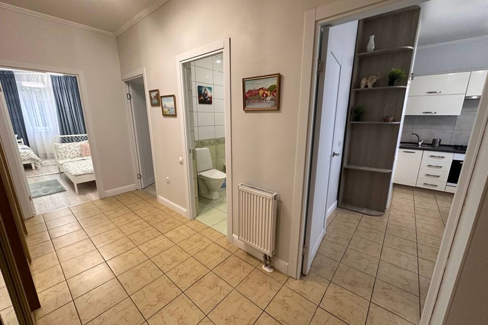 Море, Отдых, Котики