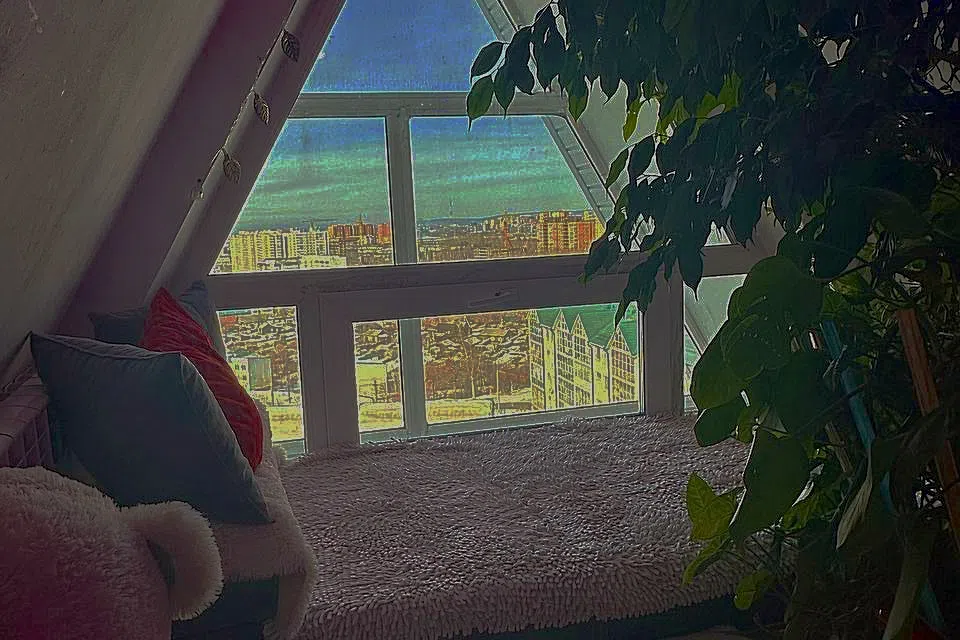 Посуточно с панорамным видом 