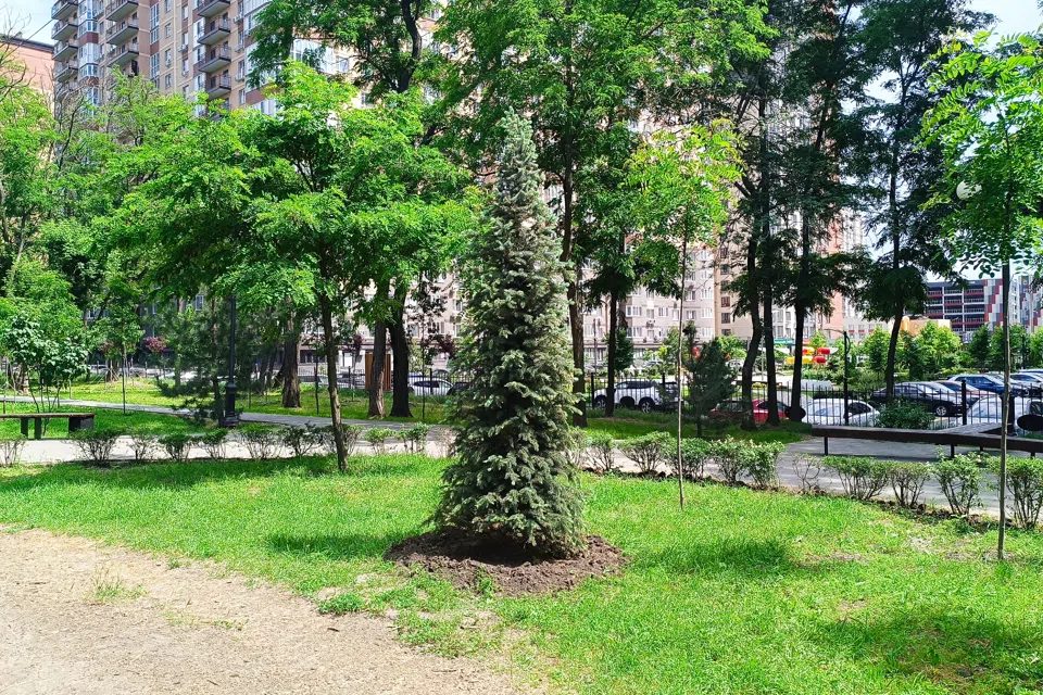 Уютная квартира в экорайоне Вересаево