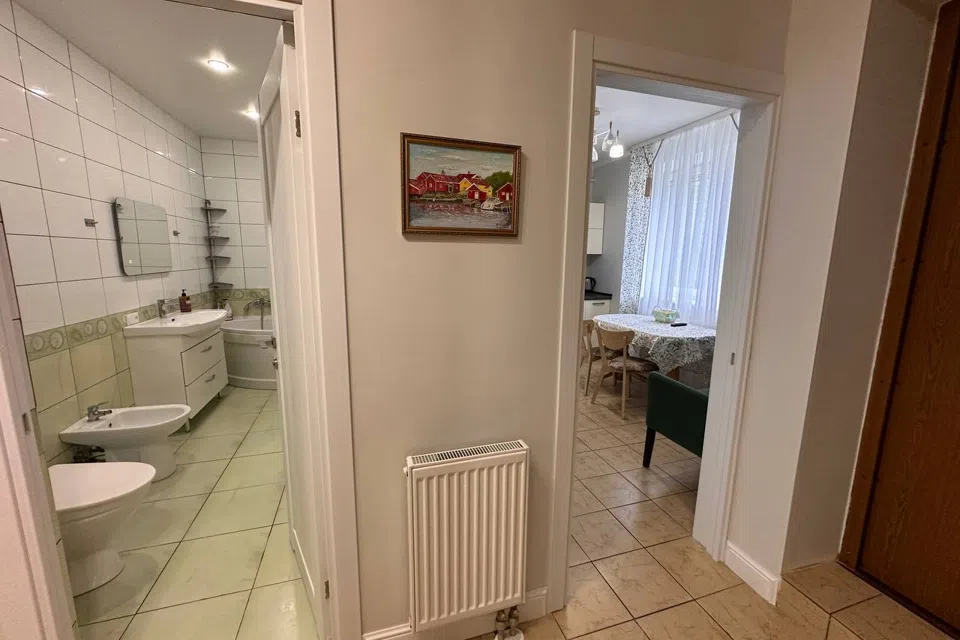 Море, Отдых, Котики