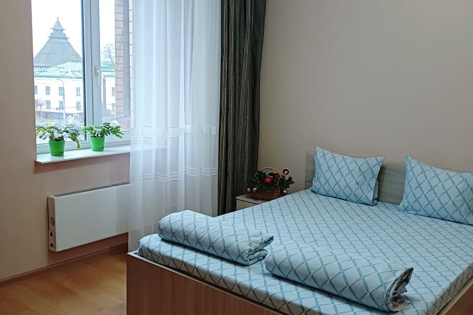 Квартира в центре с видом Покровскую башню и реку Великую