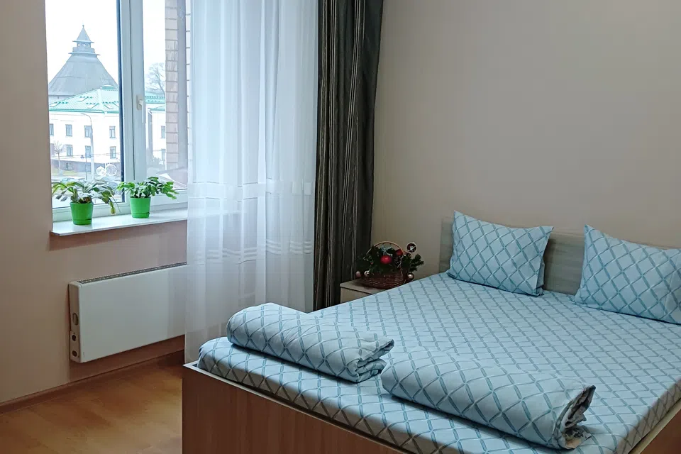 Квартира в центре с видом Покровскую башню и реку Великую